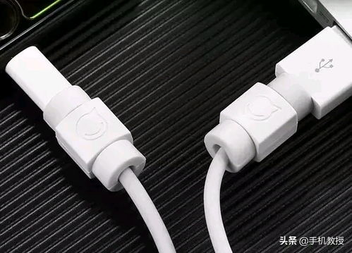 手機(jī)數(shù)據(jù)線易臟易壞，告別煩惱！這幾個(gè)小妙招讓你的數(shù)據(jù)線好用如新